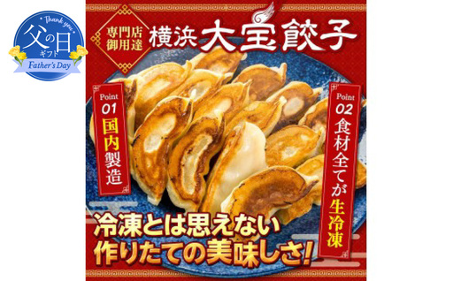 【父の日当日にお届け】【横浜大宝餃子】もちもち国産ジャンボ大宝餃子120個（30個×4） 父の日ギフト AKN0005