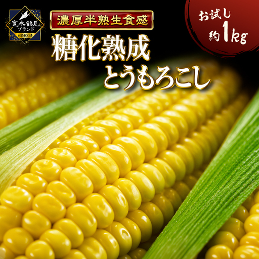 [テレビ出演で話題]ギリギリまで糖化させた超濃厚とうもろこしお試し1kg