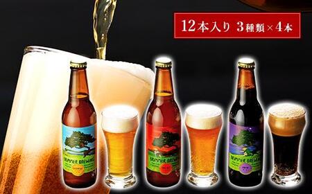 川崎のクラフトビール　ブリマーブルーイング　ビール12本セット