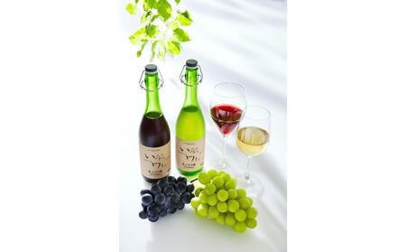 酸化防止剤無添加 井筒生ワイン 赤・白 720ml 2本セット 要冷蔵 ワイン