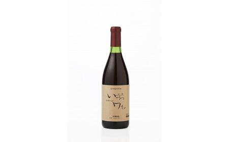 井筒ワイン 酸化防止剤無添加 井筒コンコード 赤甘口 720ml × 2本 発売元 株式会社片山