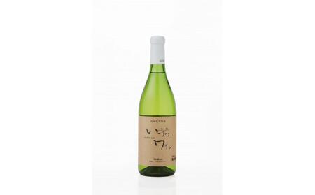井筒ワイン 酸化防止剤無添加 井筒ナイヤガラ 白甘口 720ml × 2本 発売元 株式会社片山