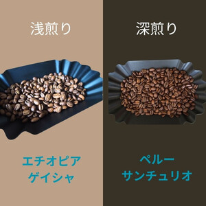 スペシャルティコーヒー豆200g2種セット「深浅の旋律」