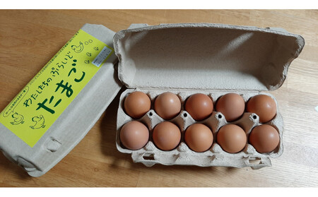 [定期便:12か月]単なる平飼いではない『わたしたちのぷらいどたまご』6パック(60個)セット