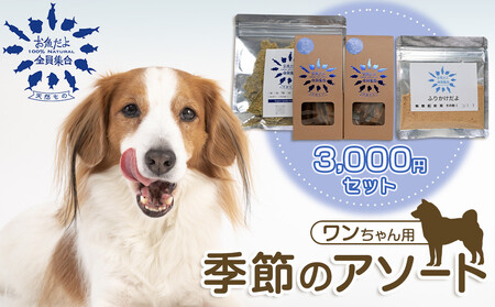 お魚だよ全員集合 季節のアソートセット 3,000円セット ワンちゃん用