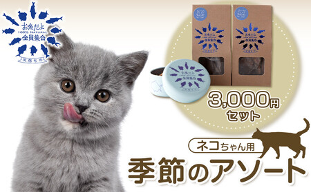 お魚だよ全員集合 季節のアソートセット 3,000円セット ネコちゃん用