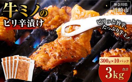 ~m shЂ 3kg ( 300g × 10pbN )   ֗  z ~m ē Ă   Ă Ⓚ  t BBQ AEghA Lv lC  _ސ y2026N6