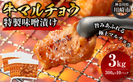 ＜訳アリ＞牛マルチョウ　特製味噌漬け　3kg(300g×10）【2026年1月発送】