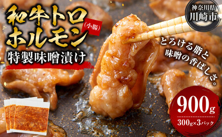 ＜訳アリ＞和牛トロホルモン　特製味噌漬け　0.9kg(300g×3）【2026年3月発送】