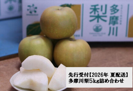 [2026年夏配送]多摩川梨 5Kg 詰め合わせ | 梨 なし 果物 フルーツ 川崎市 オリジナル