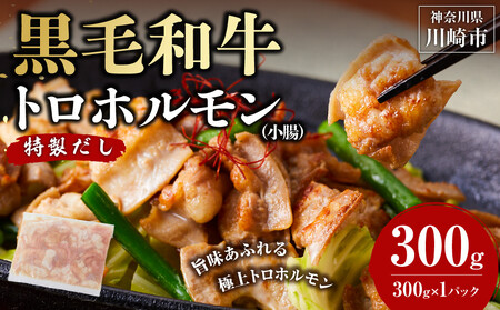 黒毛和牛トロホルモン（小腸）　特製だし0.3kg ( 300g × 1パック )【2026年8月発送】