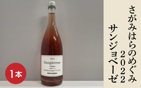 [さがみはらのめぐみ]2022 サンジョベーゼ 1本 ※離島への配送不可