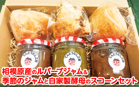 ͌Ỹo[uWG߂̃WƎƐỹXR[3Zbg