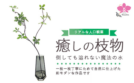 倒しても溢れない魔法の水「癒しの枝物」 ※北海道・沖縄・離島への配送不可