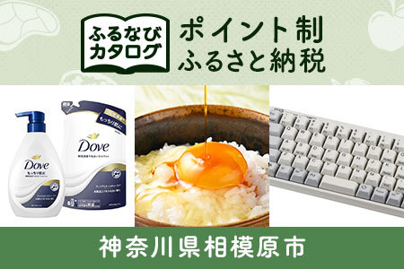 [有効期限なし!後からゆっくり特産品を選べる]神奈川県相模原市カタログポイント