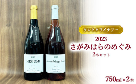 [ケントクワイナリー]2023 さがみはらのめぐみ 2本セット ※離島への配送不可