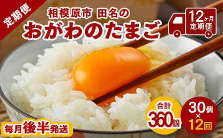 [12ヶ月定期便][毎月後半発送]相模原市田名のおがわのたまご ピンク卵 Mサイズ 30個(27個+割れ補償3個)×12か月※着日指定不可