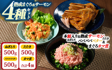 [県水の熟成まぐろ]熟成本鮪入りねぎとろ、熟成サーモンたたき、バババババター、まぐろカマ煮詰め合わせセット(本鮪入りたたき、サーモンたたき各500g×1、バババババター500g×1、まぐろカマ煮2個入り×2) 