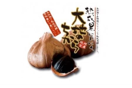 熟成黒にんにく 大地のちから