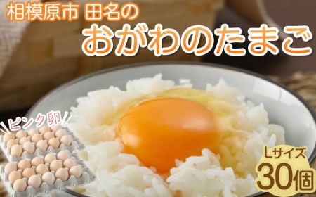 相模原市田名のおがわのたまご ピンク卵（Lサイズ）27個＋割れ補償3個