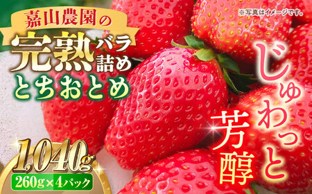 [先行予約][数量限定]嘉山農園の完熟バラ詰めいちご とちおとめ(260g×4パック)とちおとめ いちご 横須賀 神奈川 完熟 大粒 イチゴ 苺果物苺果物 パック[いちごはうす嘉山農園] [AKCO002]