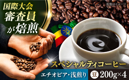 コーヒー豆 お試し 自家焙煎 浅煎り エチオピア 200g×4 TSUKIKOYA COFFEE ROASTER ツキコヤ 珈琲 こだわり 横須賀[株式会社RUINS] [AKAD033]