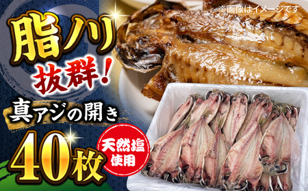 漁師町佐島 真アジの開き 40枚セット 干物 横須賀 [石川水産] [AKCX001]