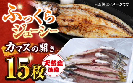 漁師町佐島 カマスの開き 15枚セット 干物 開き 魚 おつまみ 横須賀 [石川水産] [AKCX002]