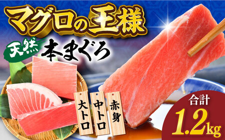 天然 本まぐろ 大トロ・中トロ・赤身（約200ｇ×6柵）1200ｇ 冷凍 マグロ まぐろ 鮪 本マグロ 刺身 寿司 柵 海鮮 魚介 魚 天然 ごちそう 家族 ディナー 訳あり 訳アリ