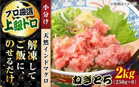天然 まぐろ ねぎとろ 約2kg(約250g×8パック) 鮪 マグロ 魚 ネギトロ 横須賀[横須賀商工会議所 おもてなしギフト事務局(本まぐろ直売所 横須賀本店)] [AKAK009]