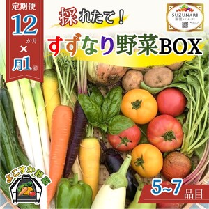 すずなり採れたて野菜BOX(定期便)60サイズ 12ヶ月 横須賀市 野菜 旬 サラダ セット 採れたて おまかせ 新鮮 直送
