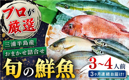 [全3回定期便]旬のおまかせ 厳選鮮魚セット 3~4人前(2~3魚種) 魚 鮮魚 さかな 魚 鮮魚 さかな 魚 [長井水産株式会社] [AKAJ015]