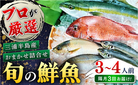 [全3回 隔月 定期便]旬のおまかせ 厳選鮮魚セット 3~4人前(2~3魚種) 魚 鮮魚 さかな 魚 鮮魚 さかな 魚 [長井水産株式会社] [AKAJ017]