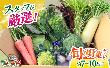 よこすか野菜セット すかなボックス やさい 季節野菜 産地直送 旬 野菜詰め合わせ セット 横須賀 [JAよこすか葉山] [AKFO001]