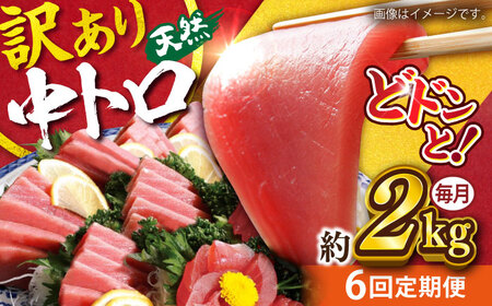 [全6回定期便][訳あり]天然 まぐろ 中トロ(約2kg) マグロ 定期 鮪 まぐろ 中とろ 刺身 定期便[横須賀商工会議所 おもてなしギフト事務局(本まぐろ直売所)] [AKAK054]