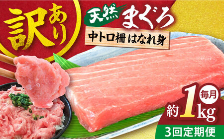 [全3回定期便][訳あり]天然 まぐろ 中トロ柵 はなれ身(1kg)[本まぐろ直売所][AKAK062]