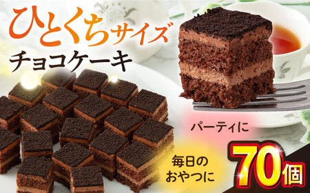 チョコケーキ [ファミール製菓株式会社][AKCI004]