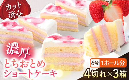 ドルチェケーキ とちおとめショート ケーキ 計12個(4個×3箱)[ファミール製菓株式会社][AKCI022]