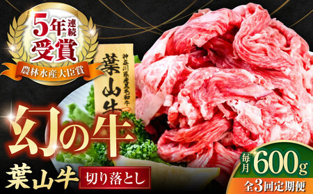 [全3回定期便]葉山牛 切り落とし300g×2パック 小分け 牛肉 切り落とし 横須賀 冷凍 計600g[株式会社羽根] [AKAG027]