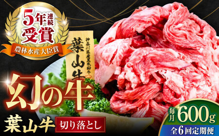 [全6回定期便]葉山牛 切り落とし300g×2パック 計600g 小分け 牛肉 切り落とし 横須賀 冷凍 小分け 牛肉 牛切り落とし きりおとし 横須賀 冷凍 定期 肉定期 定期便 [株式会社羽根] [AKAG028]