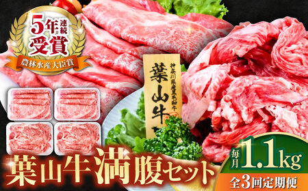 [全3回定期便]葉山牛満腹セット(肩ロースすき焼用250g×2+切落し300g×2) 小分け 牛肉 すきやき 冷凍 切り落とし 横須賀 計1.1kg[株式会社羽根] [AKAG042]