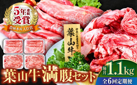 yS6ցztRZbgi[Xėp250g×2{ؗ300g×2j   ₫ Ⓚ ؂藎Ƃ { v1.1kgyЉHz [AKAG043]