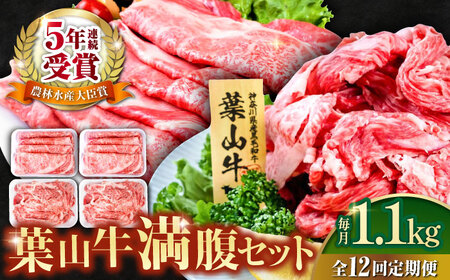 yS12ցztRZbgi[Xėp250g×2{ؗ300g×2j   ₫ Ⓚ ؂藎Ƃ { v1.1kgyЉHz [AKAG044]