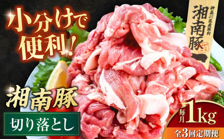 [全3回定期便]湘南豚 切り落とし1.0kg(250g×4パック) 小分け 牛肉 切り落とし 横須賀 冷凍 [株式会社羽根] [AKAG045]