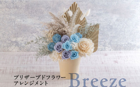 プリザーブドフラワーアレンジメント Breeze 花 ギフト ドライフラワー インテリア アレンジ フラワー[株式会社日比谷花壇] [AKBO013]