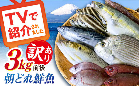 [未利用魚]漁師直送!朝どれ鮮魚おまかせセット 3kg前後 [有限会社勘網] [AKDX002]