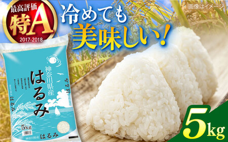 [数量限定]お米 はるみ 5kg 希少 米 おこめ 特A コメ 精米 さっぱり 粘り おにぎり お弁当 精米 5キロ[株式会社ヨコショク] [AKGC001]