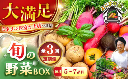 [全3回定期便]すずなり採れたて野菜BOX (5〜7品)野菜 野菜 野菜 野菜 野菜 野菜 [AKCE011]
