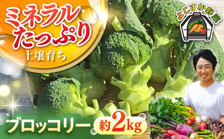 [先行予約]ブロッコリー 約2kg [鈴也ファーム][AKCE018] ブロッコリー ブロッコリー ブロッコリー