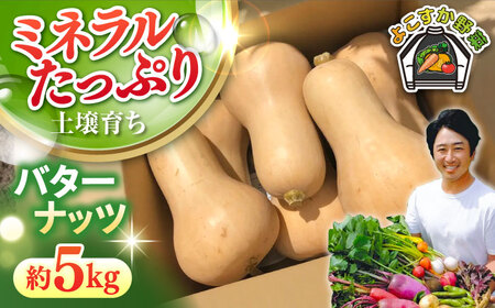 [先行予約]バターナッツ 約5kg[鈴也ファーム][AKCE022]